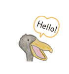 嘴広鸛さん（個別スタンプ：13）