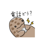 オオサンショウウオのウオさん（個別スタンプ：13）