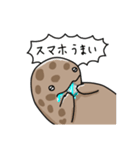 オオサンショウウオのウオさん（個別スタンプ：14）