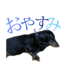リンドスペシャル（個別スタンプ：2）
