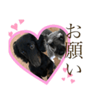 リンドスペシャル（個別スタンプ：3）
