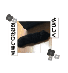 リンドスペシャル（個別スタンプ：12）