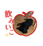 リンドスペシャル（個別スタンプ：14）