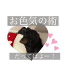 リンドスペシャル（個別スタンプ：15）