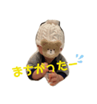 まいにち たのちい2（個別スタンプ：12）