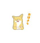 ペコ！ポコ！パコ！！（個別スタンプ：1）
