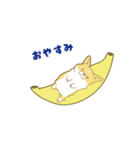 ペコ！ポコ！パコ！！（個別スタンプ：2）
