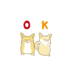 ペコ！ポコ！パコ！！（個別スタンプ：5）