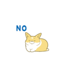 ペコ！ポコ！パコ！！（個別スタンプ：6）