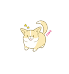 ペコ！ポコ！パコ！！（個別スタンプ：9）