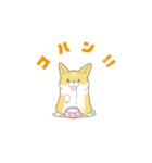 ペコ！ポコ！パコ！！（個別スタンプ：13）