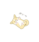 ペコ！ポコ！パコ！！（個別スタンプ：15）