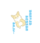 ペコ！ポコ！パコ！！（個別スタンプ：23）