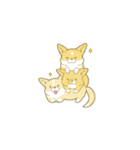 ペコ！ポコ！パコ！！（個別スタンプ：24）