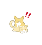 ペコ！ポコ！パコ！！（個別スタンプ：25）