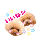 うめの友達★コノ＆マハロ★第2弾（個別スタンプ：1）