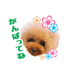 うめの友達★コノ＆マハロ★第2弾（個別スタンプ：3）