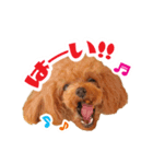 うめの友達★コノ＆マハロ★第2弾（個別スタンプ：5）