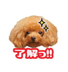 うめの友達★コノ＆マハロ★第2弾（個別スタンプ：8）