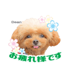 うめの友達★ディーン＆リズ★第2弾（個別スタンプ：5）