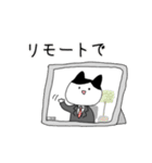 やさしい敬語のハチワレさん（個別スタンプ：36）