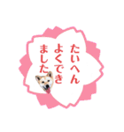 わたなべ家のさつきちゃん♡第2弾（個別スタンプ：3）