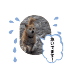 わたなべ家のさつきちゃん♡第2弾（個別スタンプ：6）