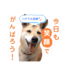 わたなべ家のさつきちゃん♡第2弾（個別スタンプ：7）