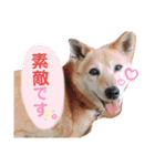 わたなべ家のさつきちゃん♡第2弾（個別スタンプ：9）