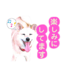 わたなべ家のさつきちゃん♡第2弾（個別スタンプ：10）