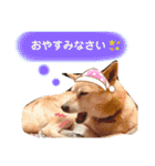わたなべ家のさつきちゃん♡第2弾（個別スタンプ：12）