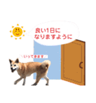 わたなべ家のさつきちゃん♡第2弾（個別スタンプ：15）