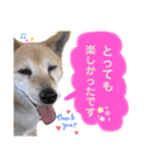 わたなべ家のさつきちゃん♡第2弾（個別スタンプ：18）