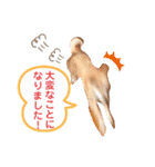 わたなべ家のさつきちゃん♡第2弾（個別スタンプ：19）