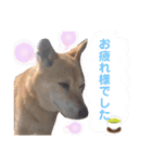 わたなべ家のさつきちゃん♡第2弾（個別スタンプ：23）