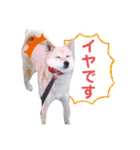 わたなべ家のさつきちゃん♡第2弾（個別スタンプ：27）
