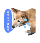 わたなべ家のさつきちゃん♡第2弾（個別スタンプ：29）