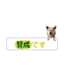 わたなべ家のさつきちゃん♡第2弾（個別スタンプ：30）