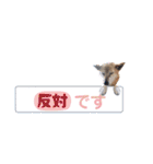 わたなべ家のさつきちゃん♡第2弾（個別スタンプ：31）