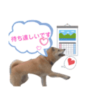 わたなべ家のさつきちゃん♡第2弾（個別スタンプ：36）