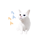 みんなのそばにいつでもウズちゃん（個別スタンプ：10）