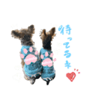 もずかぼ 1（個別スタンプ：3）