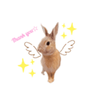 ミニうさプリン☆（個別スタンプ：2）