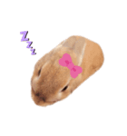 ミニうさプリン☆（個別スタンプ：7）