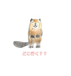 らくがき【動物とひとこと編】（個別スタンプ：10）