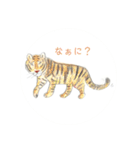 らくがき【動物とひとこと編】（個別スタンプ：11）