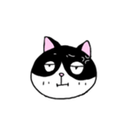 はちわれと黒と白の猫スタンプ（個別スタンプ：2）