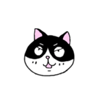 はちわれと黒と白の猫スタンプ（個別スタンプ：5）