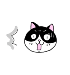 はちわれと黒と白の猫スタンプ（個別スタンプ：10）