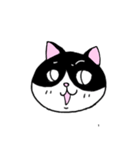 はちわれと黒と白の猫スタンプ（個別スタンプ：11）